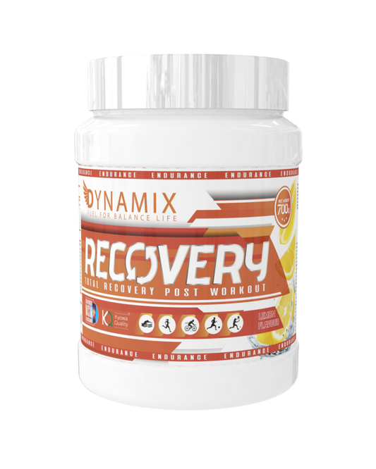 DYNAMIX Recovery 700 gr